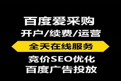 SEM主管实战：案例分析与优化策略